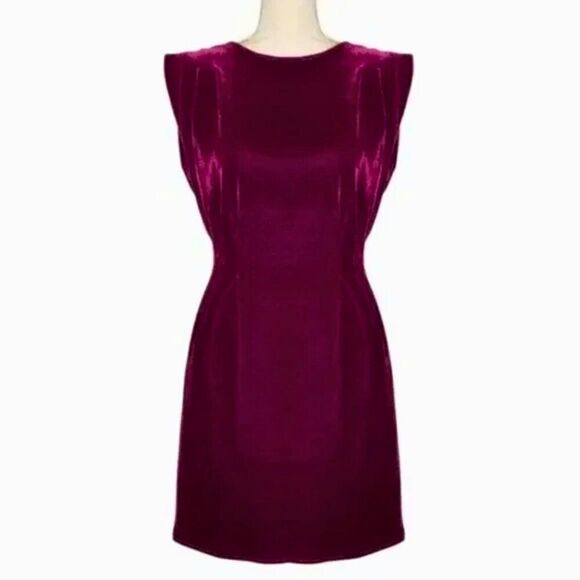 NWOT Revolve Tularosa Womens Velvet Plum Plunging Back Goddess Mini Dress - Picture 2 of 9